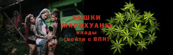 молекула духа Няндома