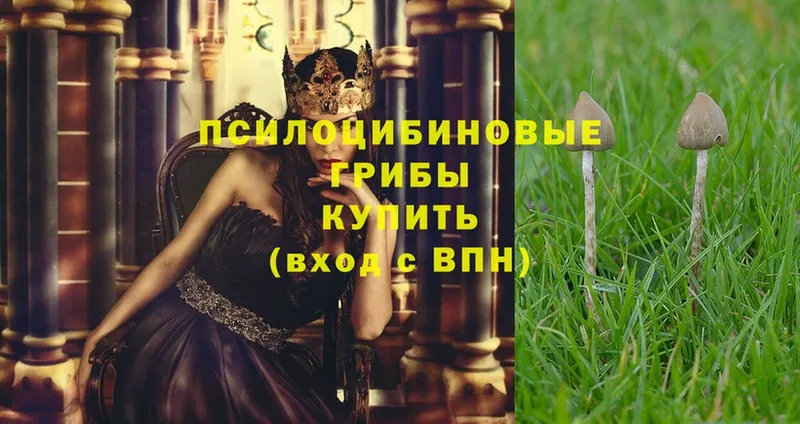 Псилоцибиновые грибы Psilocybe  купить  сайты  ОМГ ОМГ ССЫЛКА  Сатка 