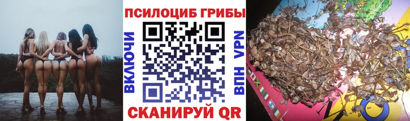 Псилоцибиновые грибы GOLDEN TEACHER Сатка