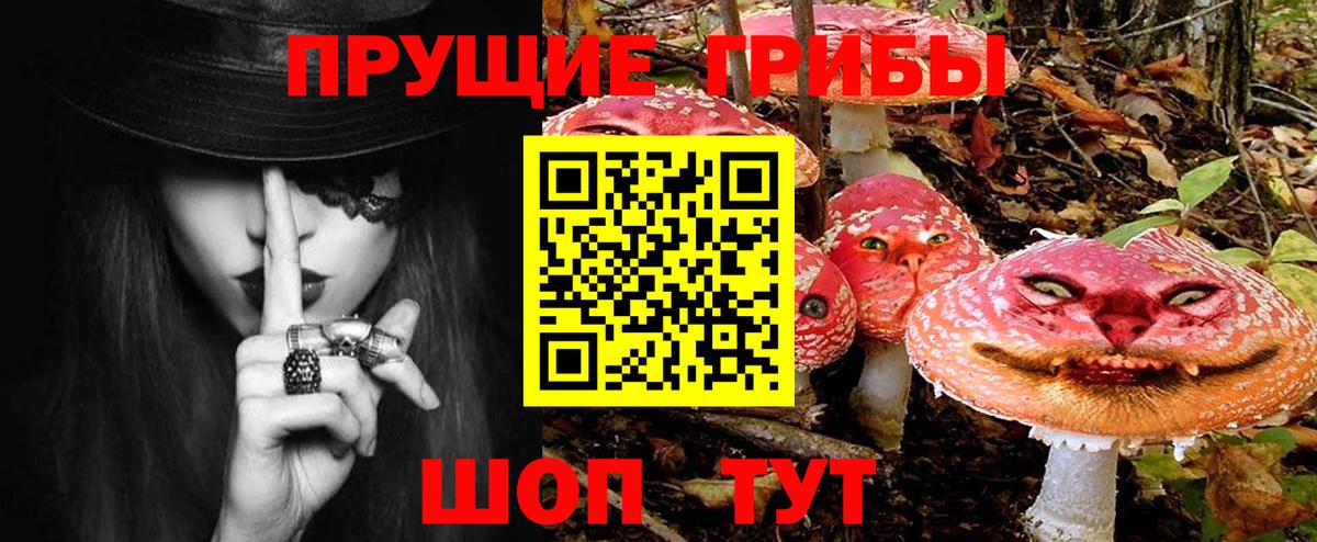 Псилоцибиновые грибы Magic Shrooms  Вход с VPN  Сатка  Псилоцибиновые грибы мицелий 