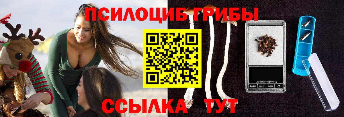 Псилоцибиновые грибы Magic Shrooms Сатка